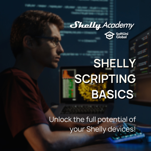 Shelly Scripting Basics Course