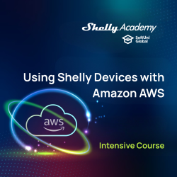 Using Shelly Devices with Amazon AWS